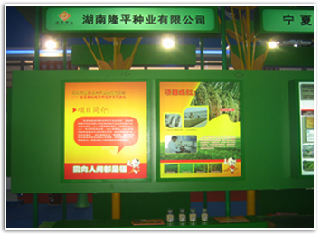 公司展位(wei)